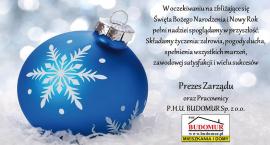 zdjęcie nr 25